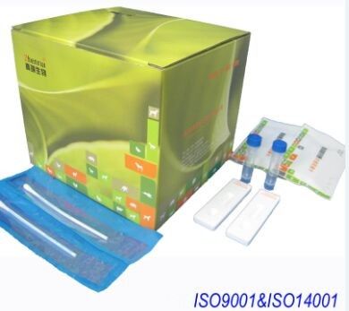 98% sensitivity Bovine Pathological Analysis Equipments ISO9001